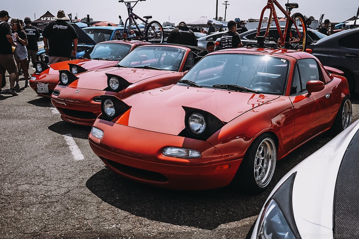 Dailydrivenlifestyles | Reno NV