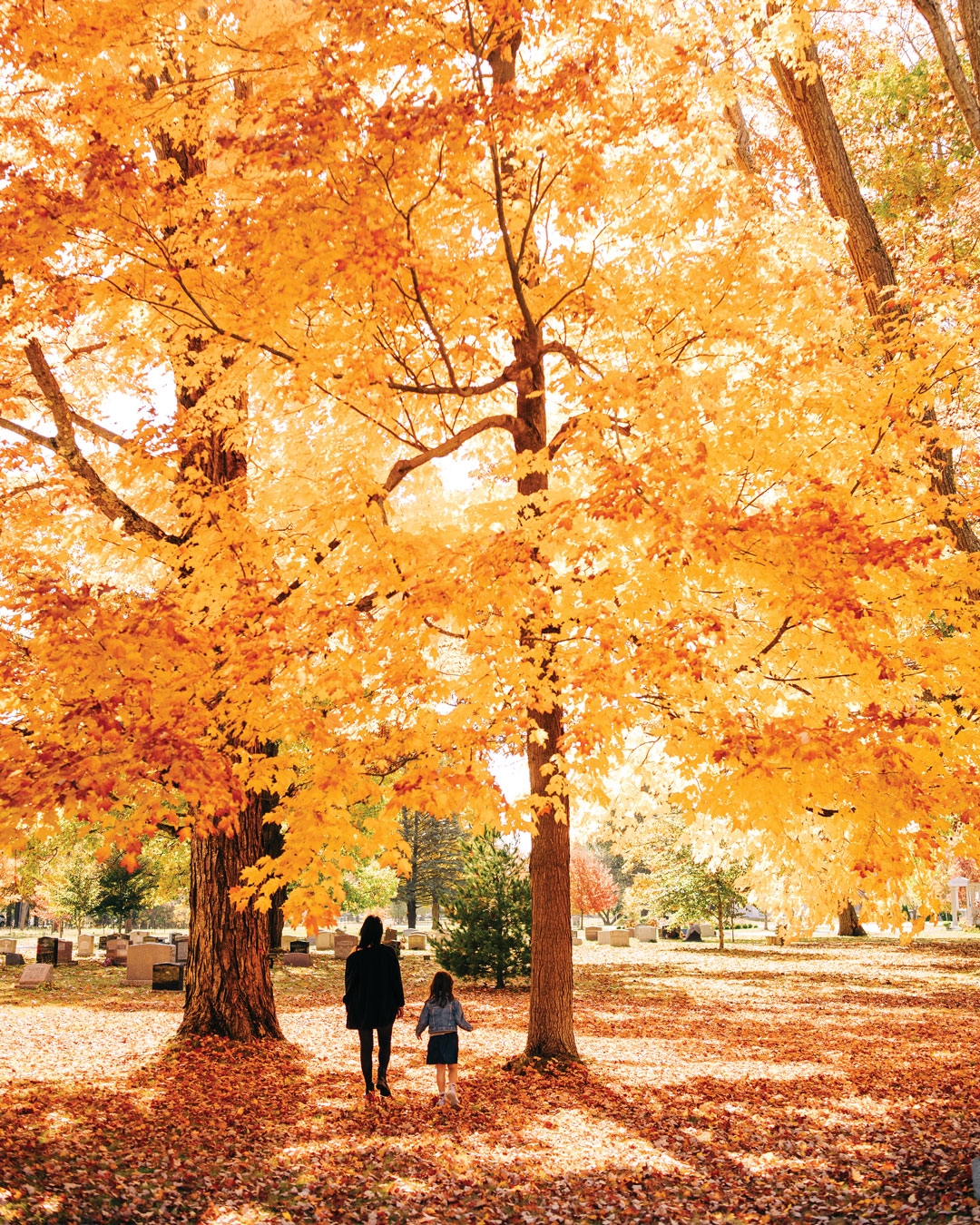 Down - 🍁 Autumn heralds trips through rural, wooded regions for many a ...