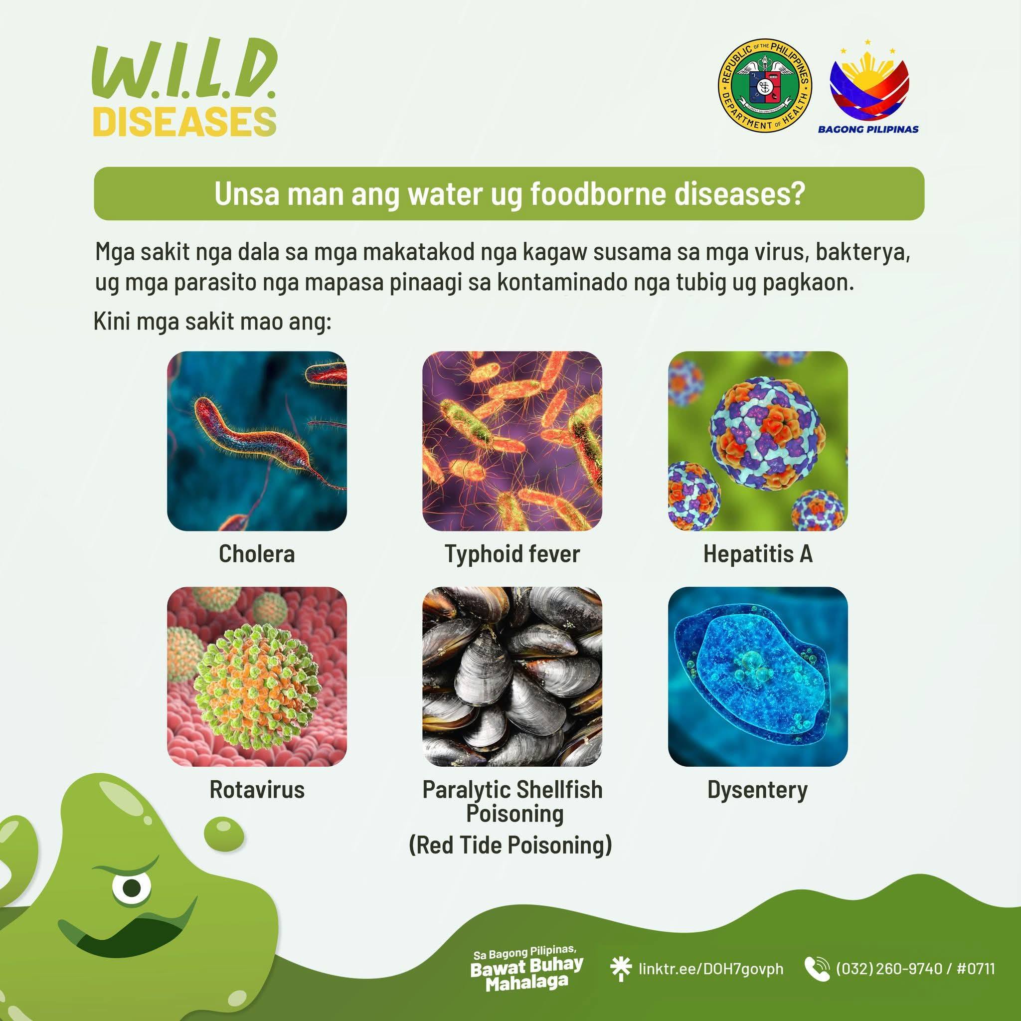 The Freeman - LOOK: The Department of Health (DOH) Central Visayas has ...