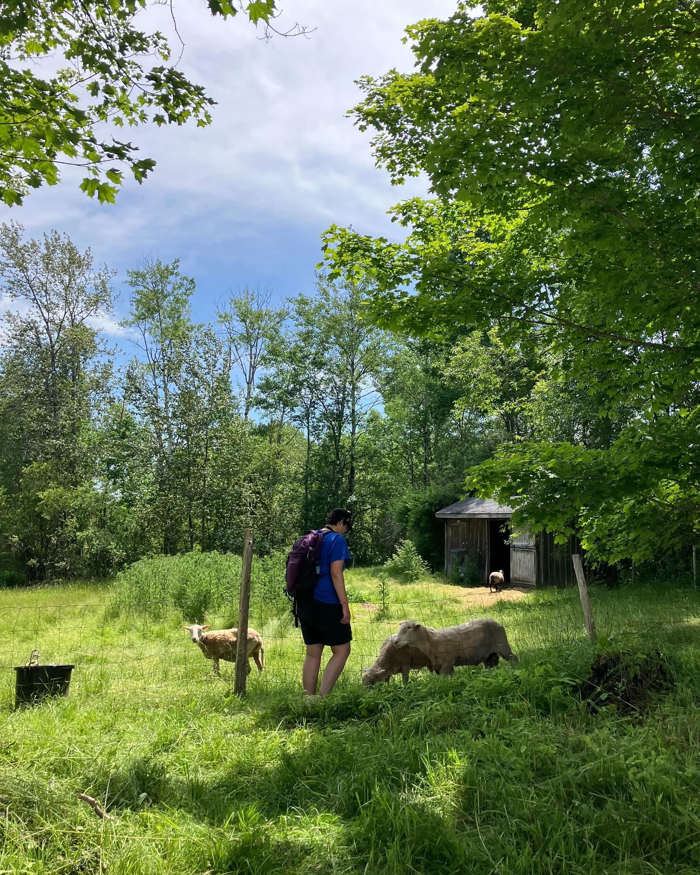 True North Evolution | Waitsfield VT
