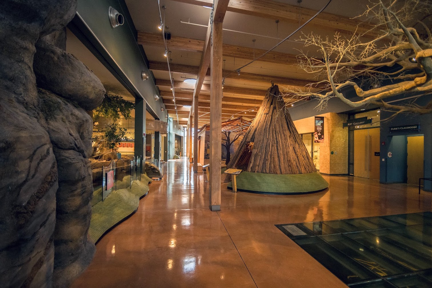 Turtle - 🌿 Sensory Hour at Turtle Bay Museum 🌿 Looking for a calmer ...