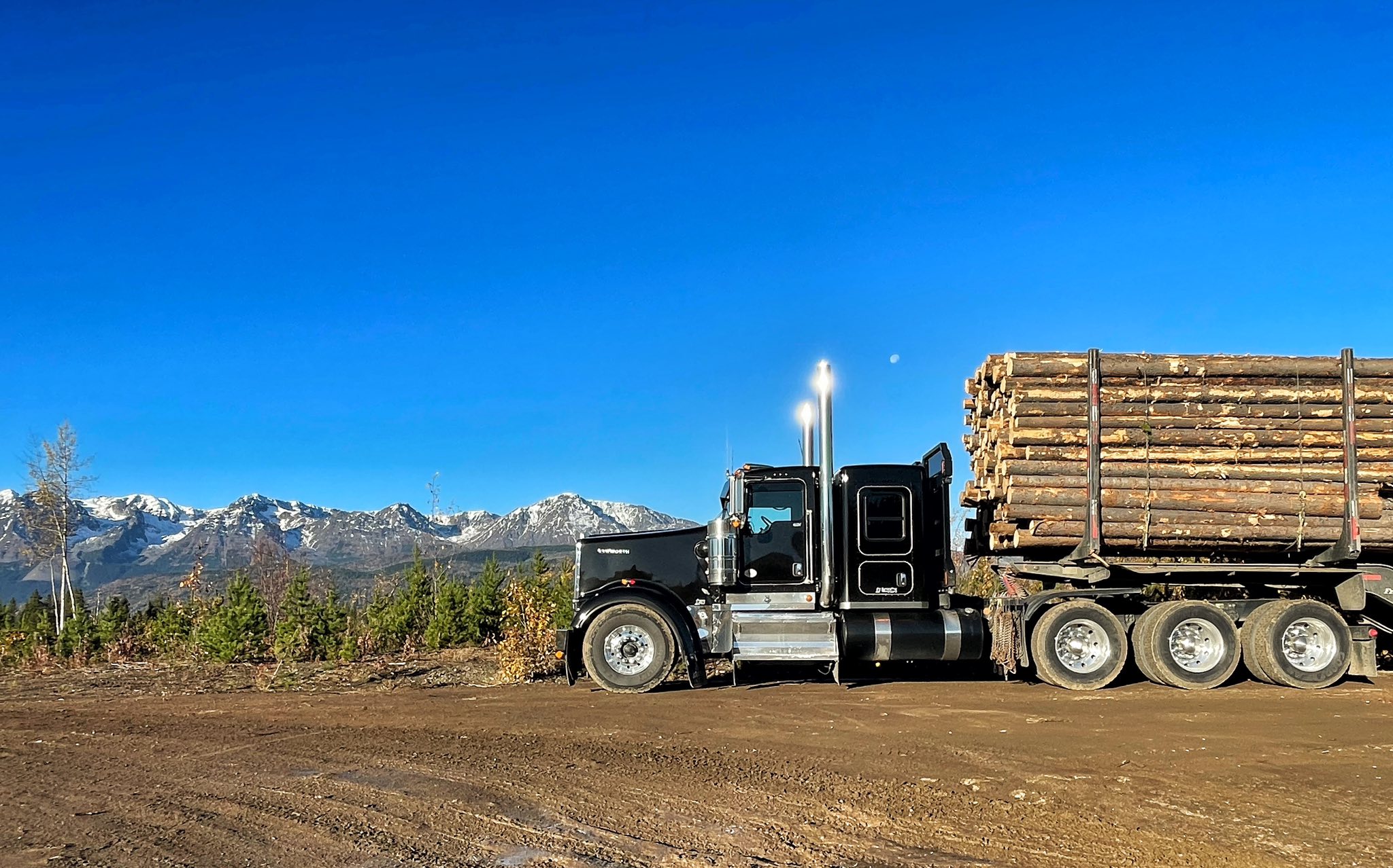 JF Logging - JF Logging added a new photo.