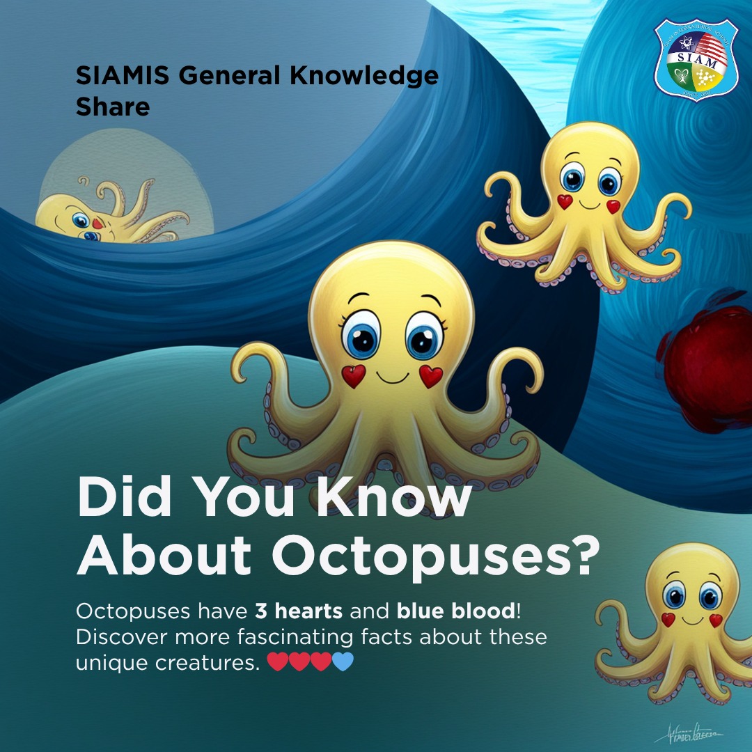 🌍 Did you know? Octopuses have... - Siam International School | Facebook
