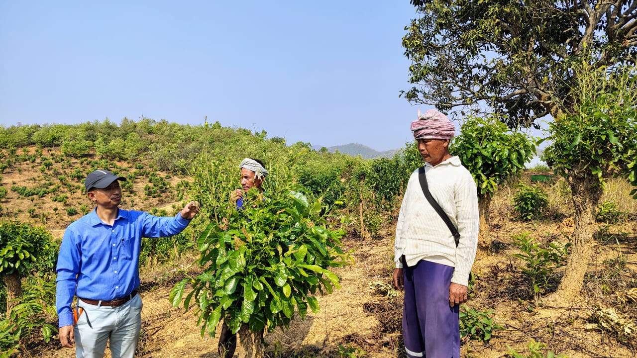 Csb-cmerti Lahdoigarh