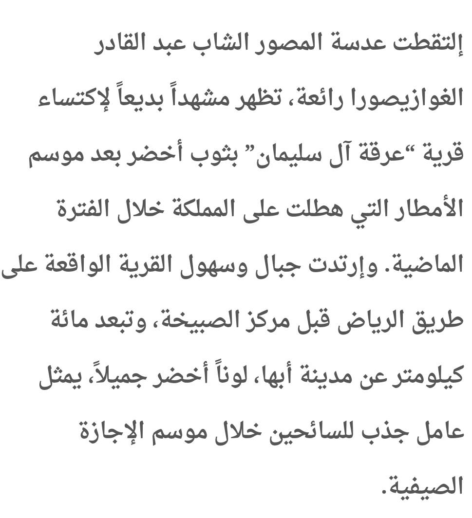 عائلة سليمان في عائلة سليمان في لبنان والعالم