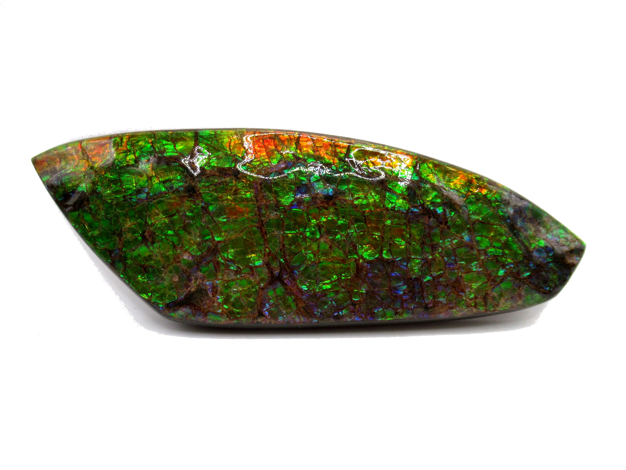 Prehistoric - Ammolite is a rare, iridescent, gem-quality material cut ...