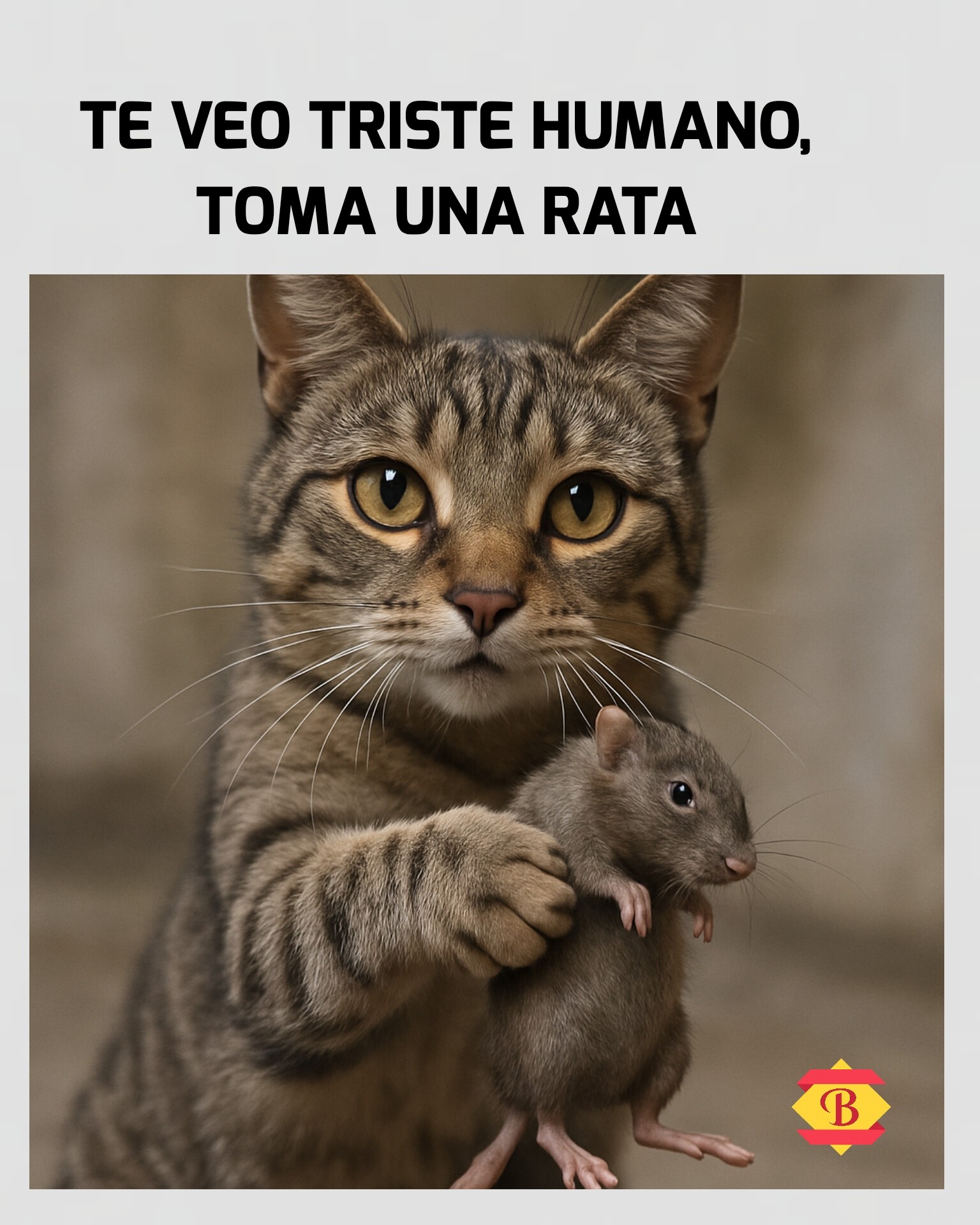 😹𝙈𝙀𝙈𝙀𝙎 𝙀𝙇 𝙈𝙄𝘾𝙃𝙄😹 | 🫣🫣 | Facebook