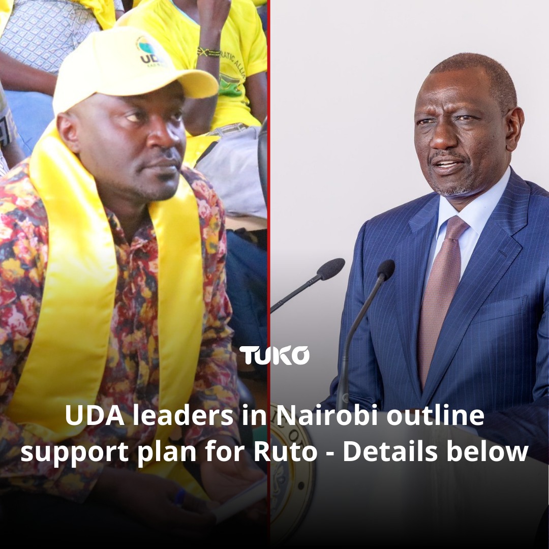 Tuko.co.ke - Nairobi MCAs rally behind UDA, asserting support for ...