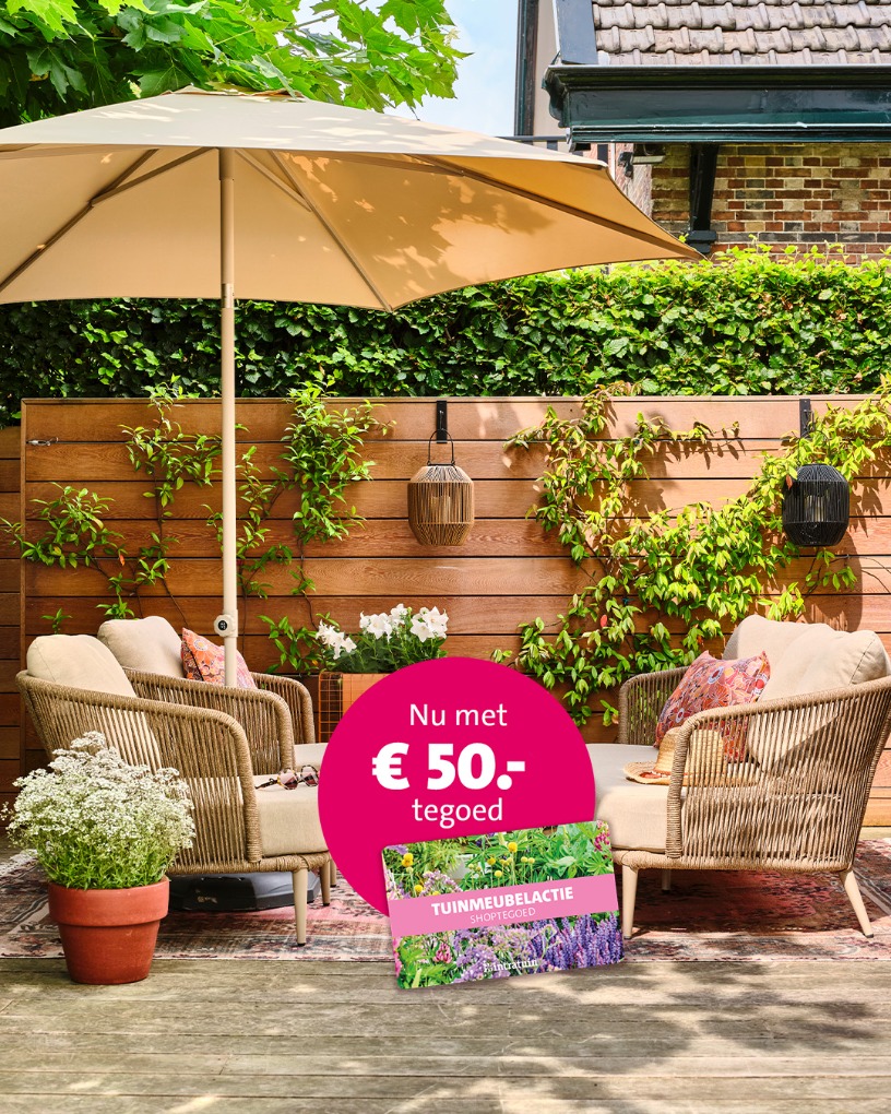 Intratuin - Intratuin (Leidsche Rijn) added a new photo.