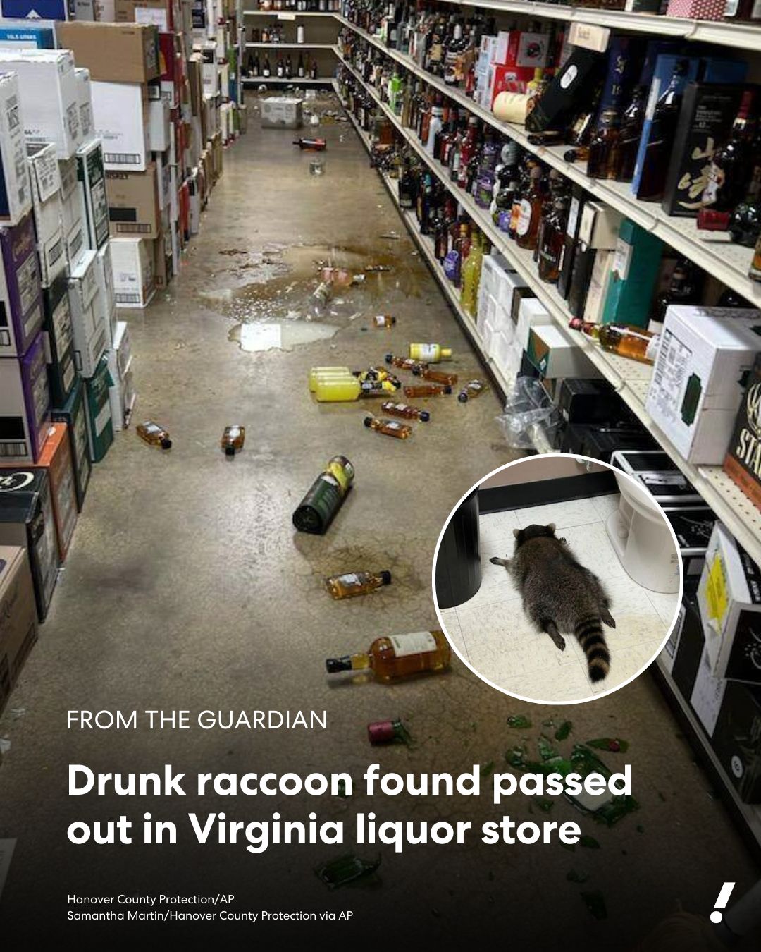 Yahoo - A liquor store employee in Virginia was startled on Saturday to ...
