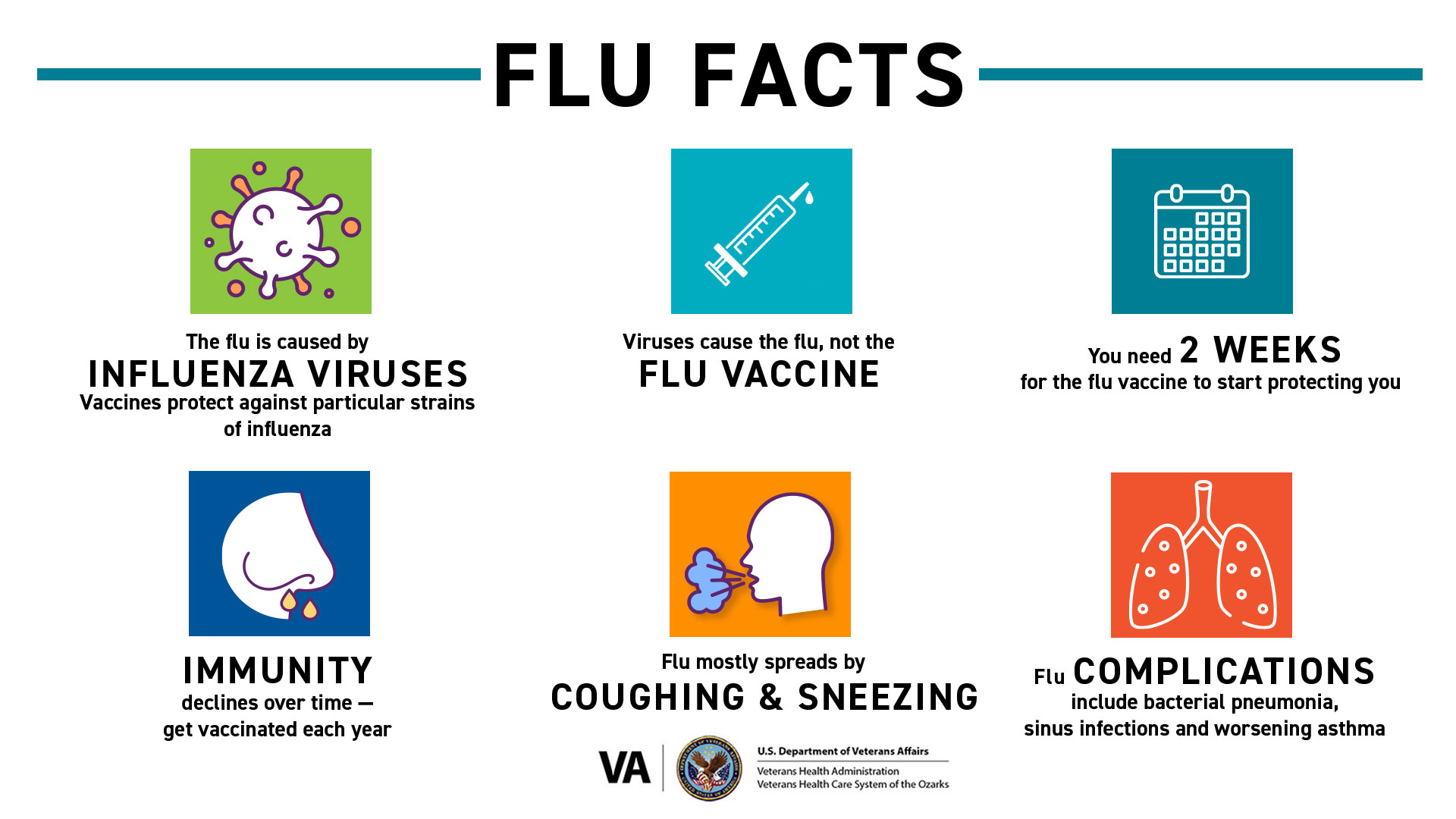 Flu Facts You... - Veterans Health Care System of the Ozarks | Facebook