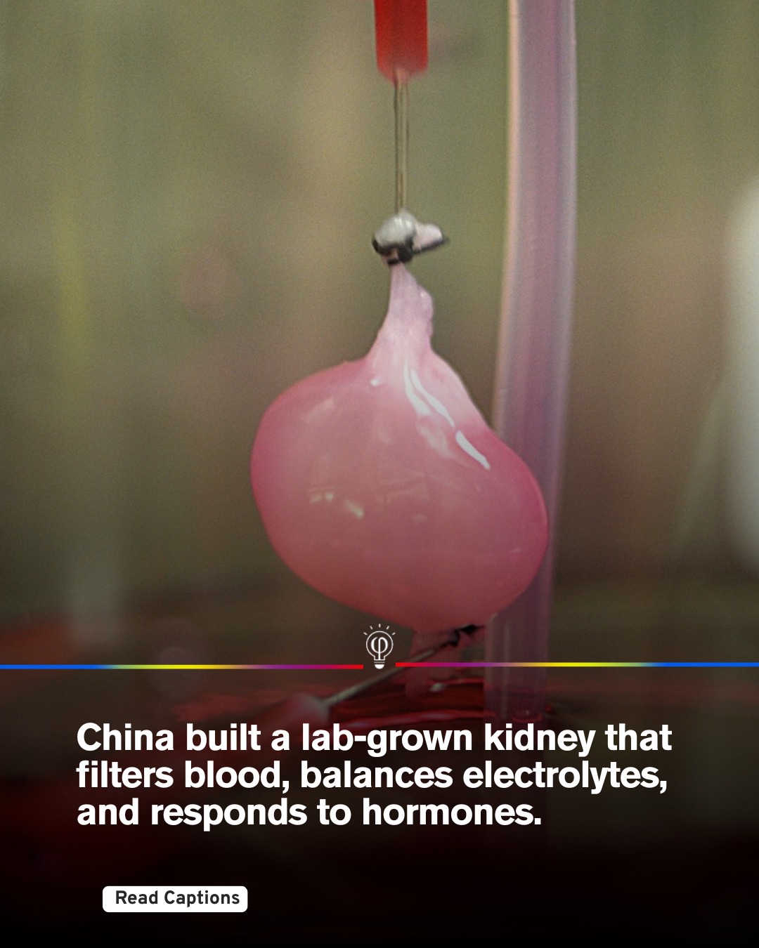 Fact - Chinese scientists in Shanghai have successfully grown a fully ...