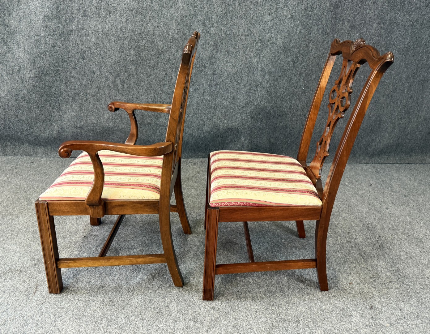 Set Adesivi Decalcomanie Per Bicicletta Raleigh – Nuovi, Non Marchiati