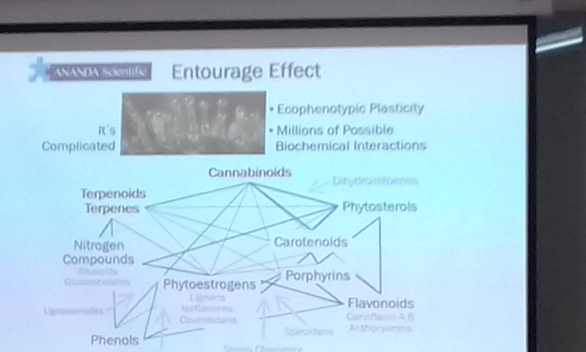 The entourage... - Environmental Epigenetics Laboratory