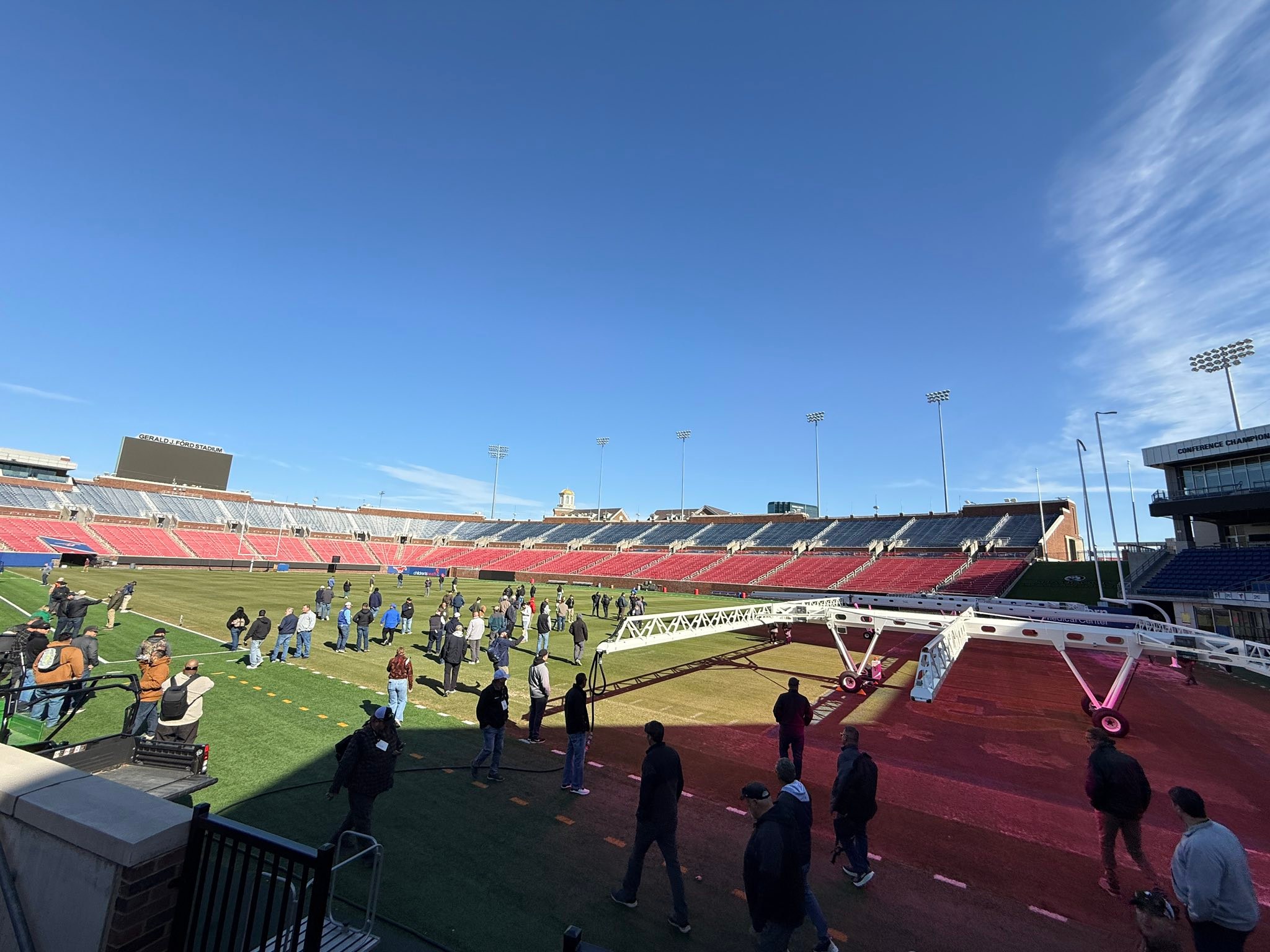 Bush Turf