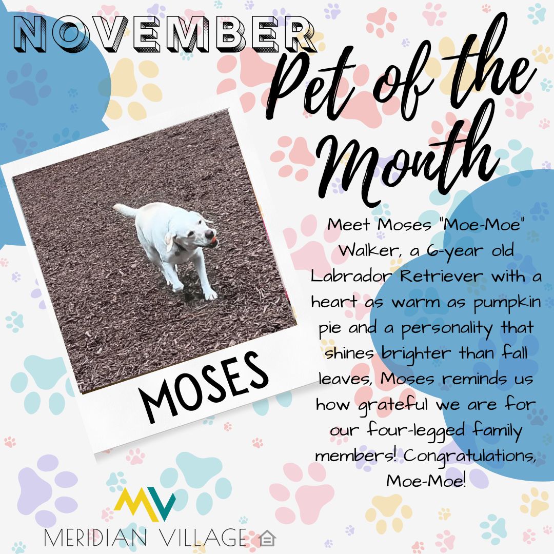 Meridian - 🦃 November Pet of the Month! 🐾 Meet Moses “Moe-Moe” Walker ...