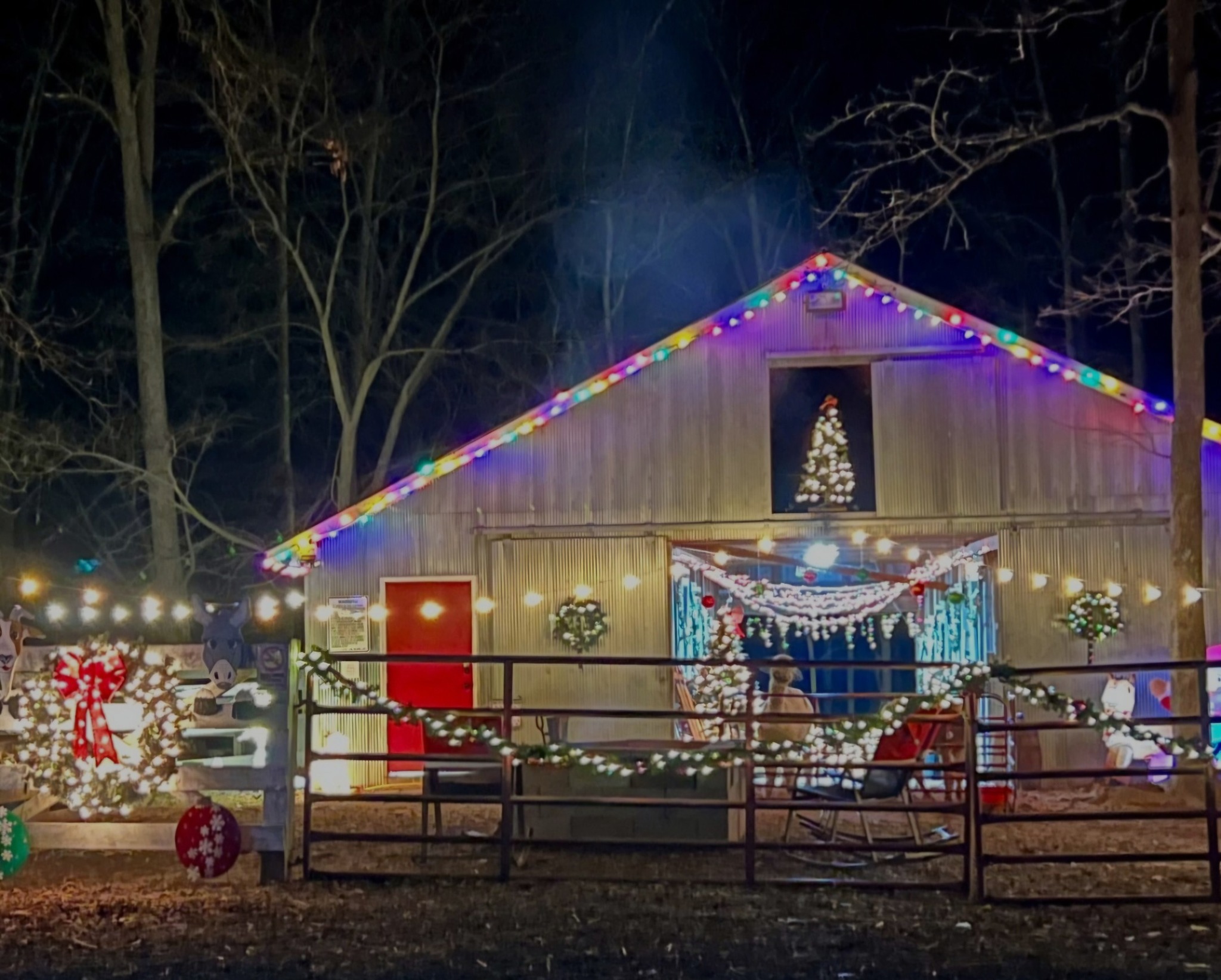Tara Noel Christmas Tree Farm | Amelia Court House VA