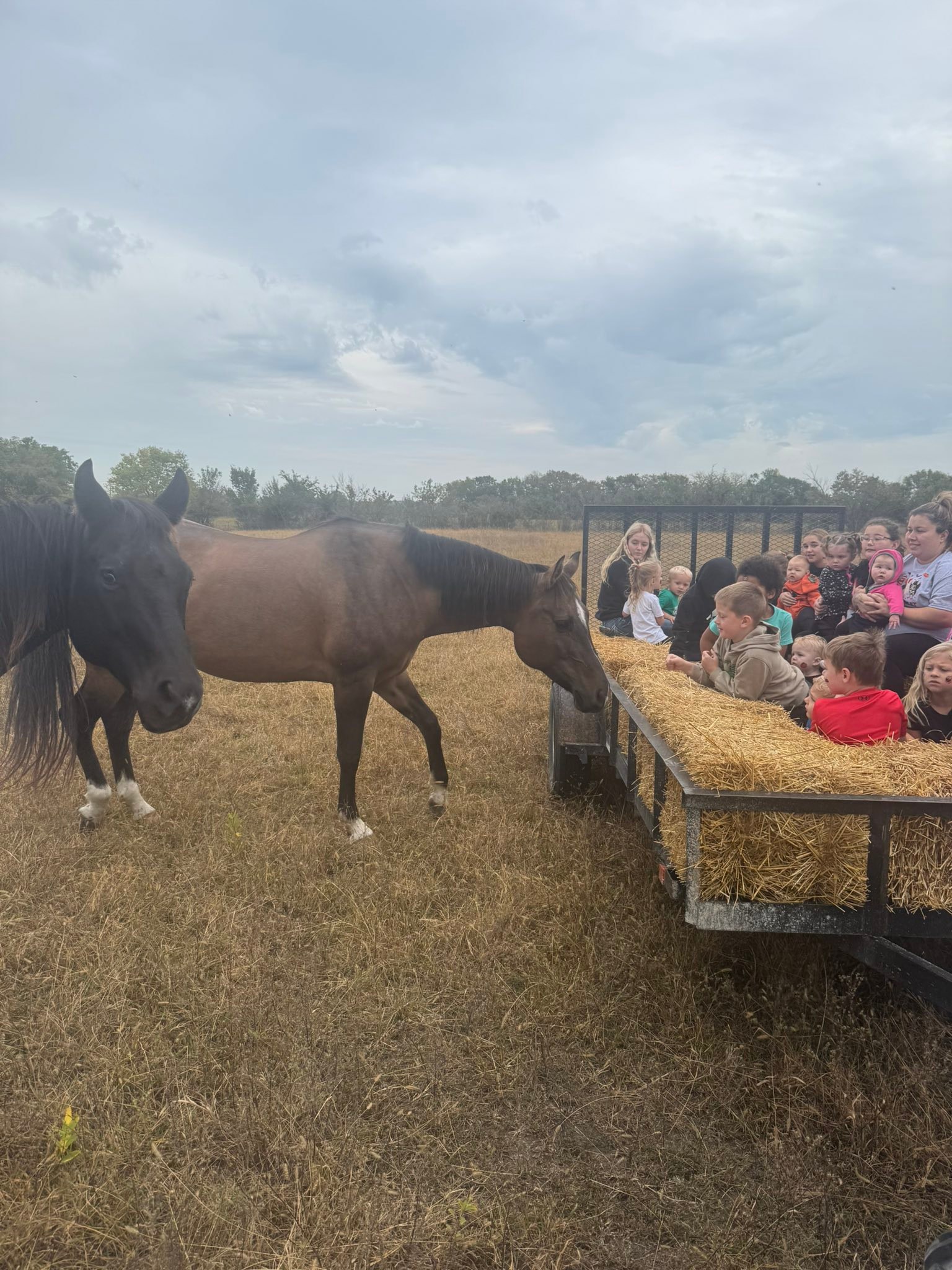 S & L Ranch, LLC