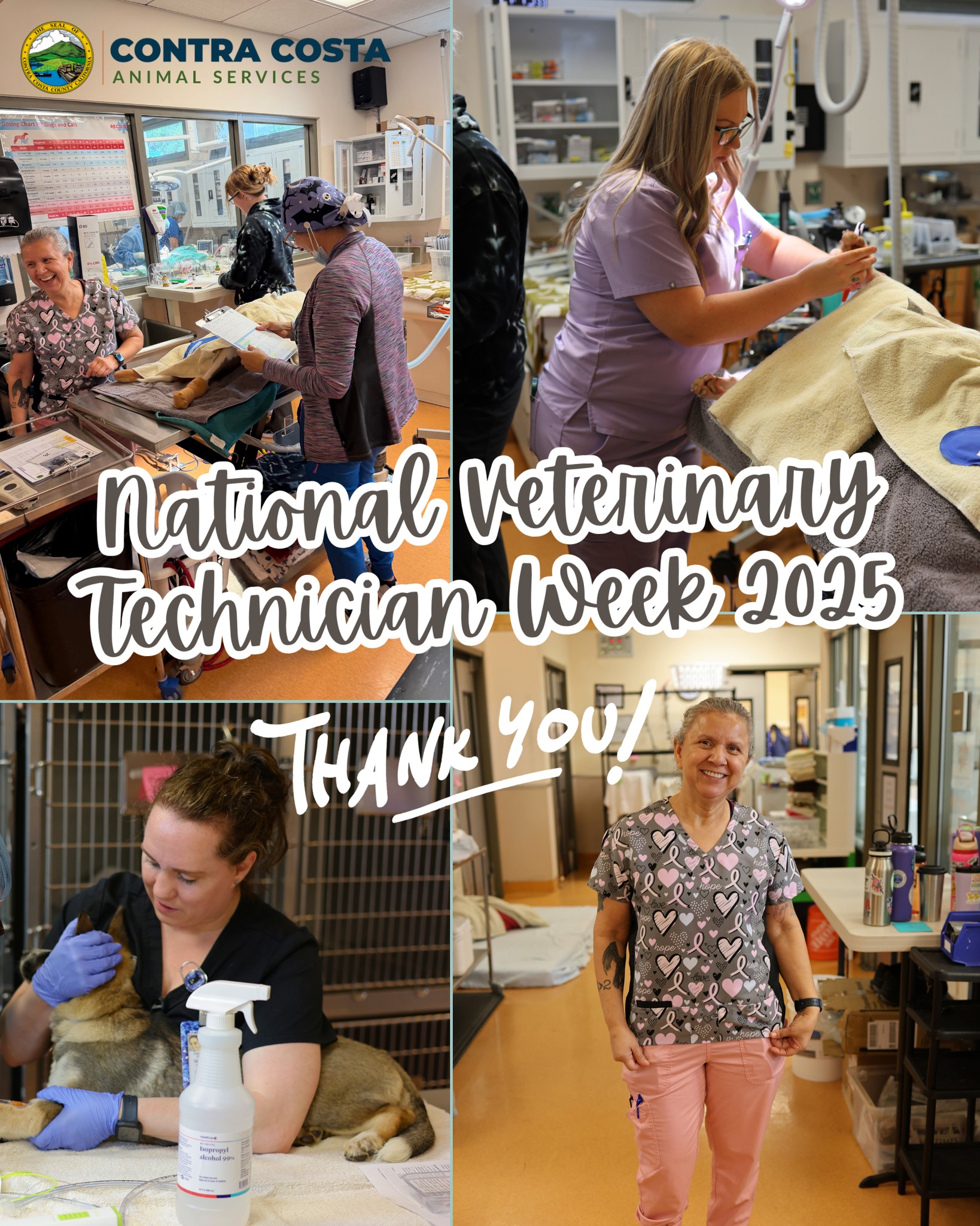 Contra - 🩺 Did you know it’s National Veterinary Technician Week? 🐾 We ...