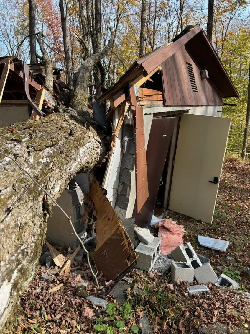Blue Ox Tree Service | Throop PA