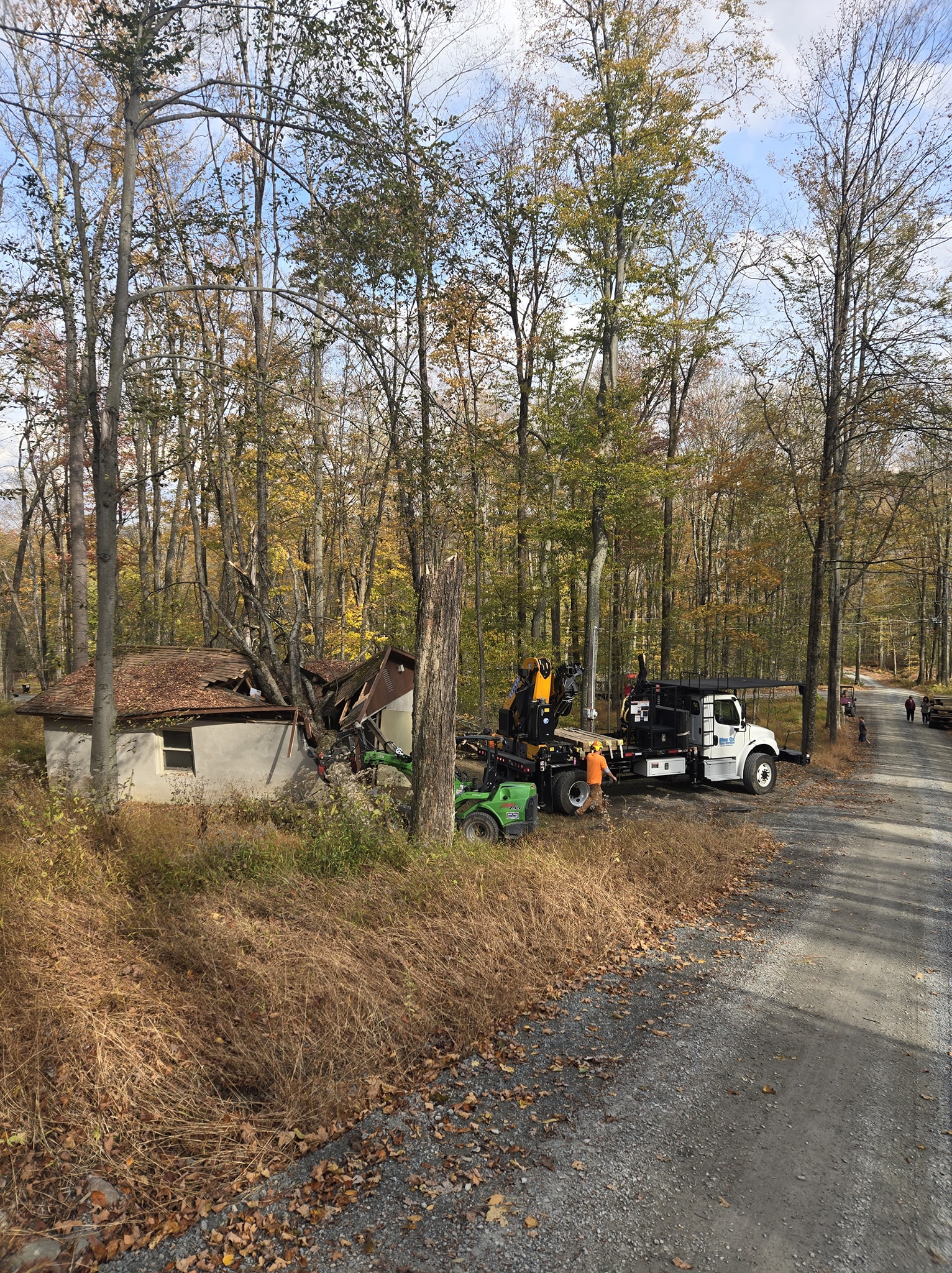 Blue Ox Tree Service | Throop PA