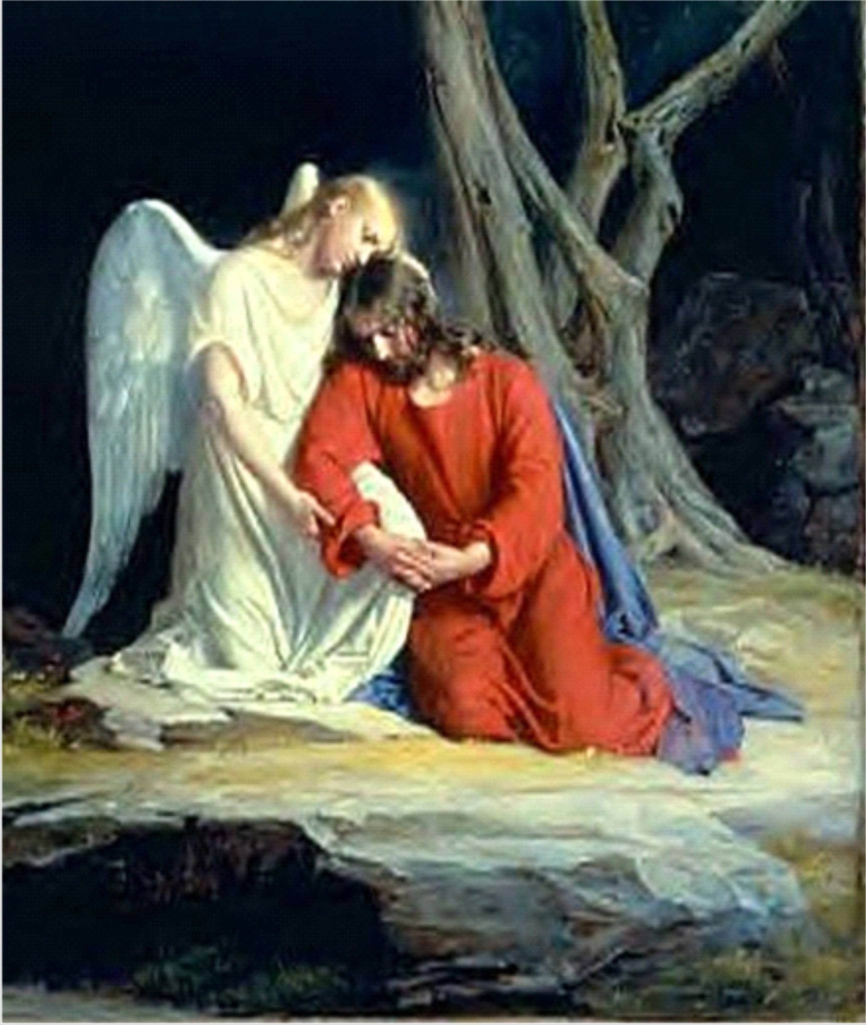 HELP ANGELS | Facebook