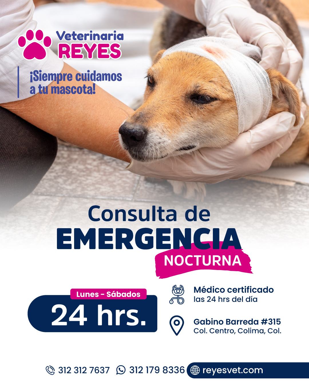 Veterinaria Reyes added a new photo. - Veterinaria Reyes