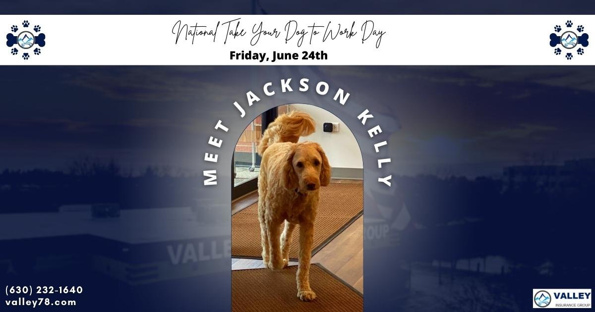 Valley - 𝐍𝐚𝐭𝐢𝐨𝐧𝐚𝐥 𝐓𝐚𝐤𝐞 𝐘𝐨𝐮𝐫 𝐃𝐨𝐠 𝐭𝐨 𝐖𝐨𝐫𝐤 𝐃𝐚𝐲 🦴 Today's Jackson's day to ...