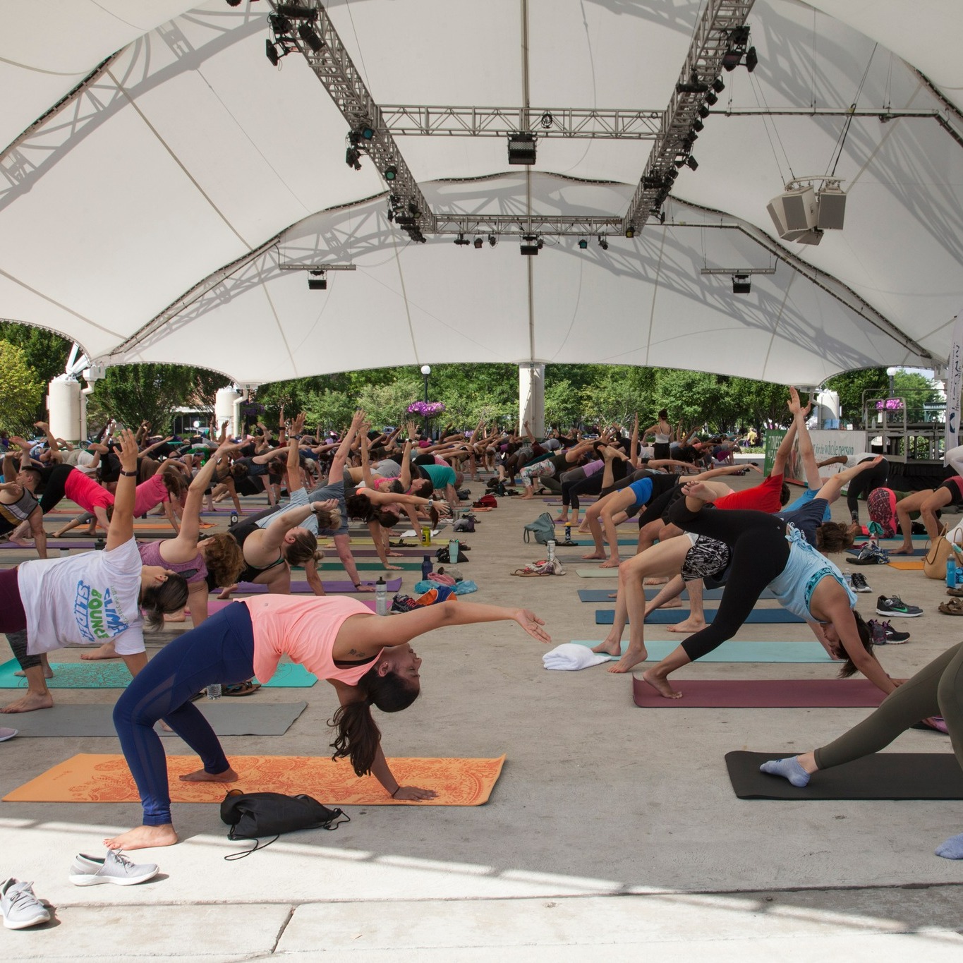 Flip your downward dogs with us... - Five Rivers MetroParks | Facebook