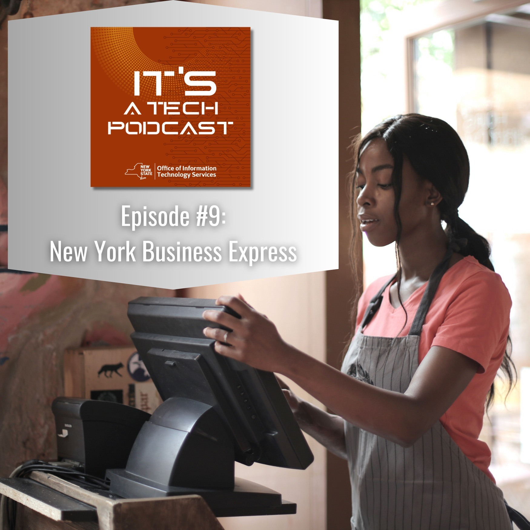 New York State Office of Information Technology Services | Albany NY