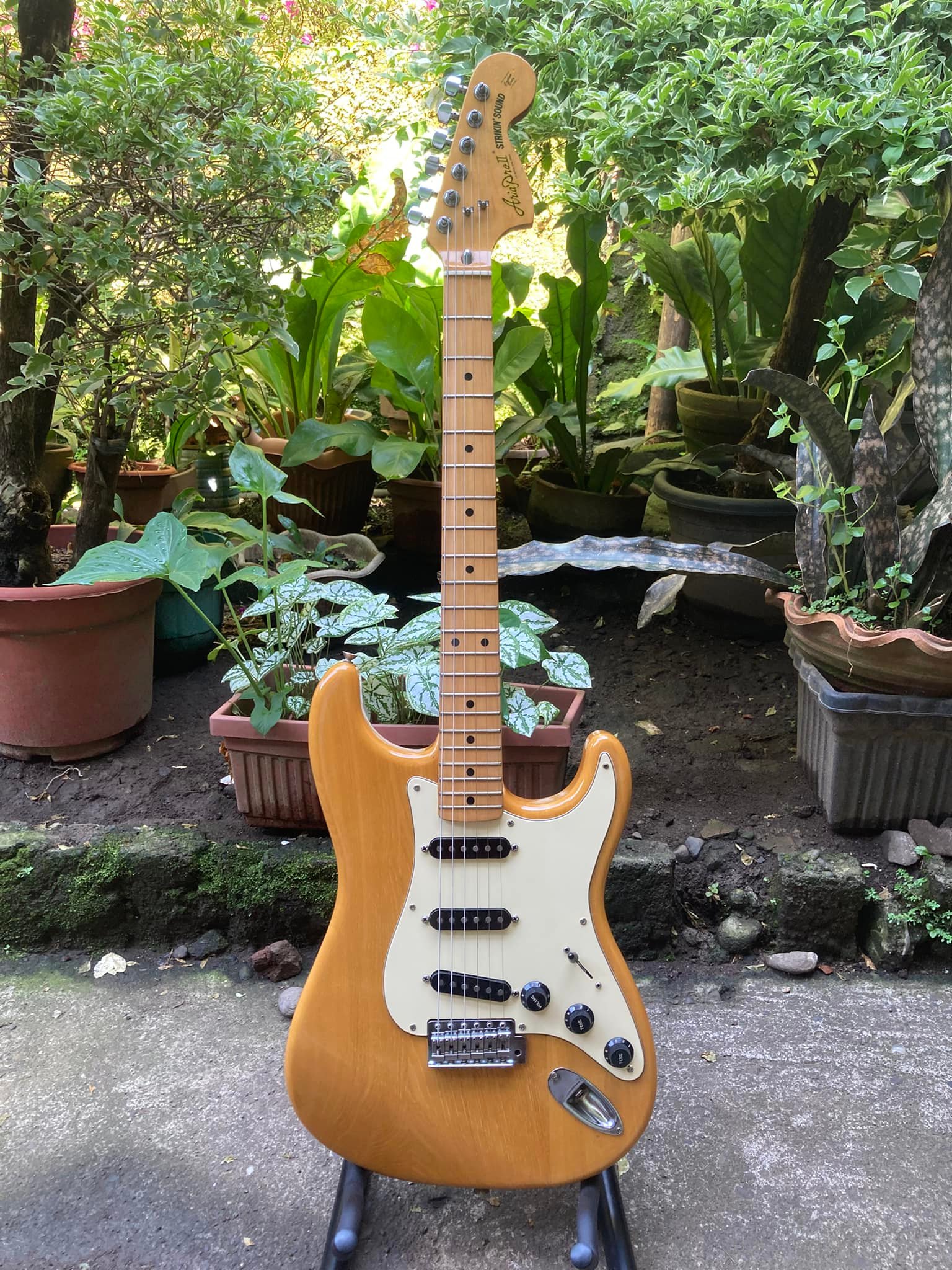 Aria Pro 2 Strikin Sound ST 600 1979 Natural Finish Vintage Gem