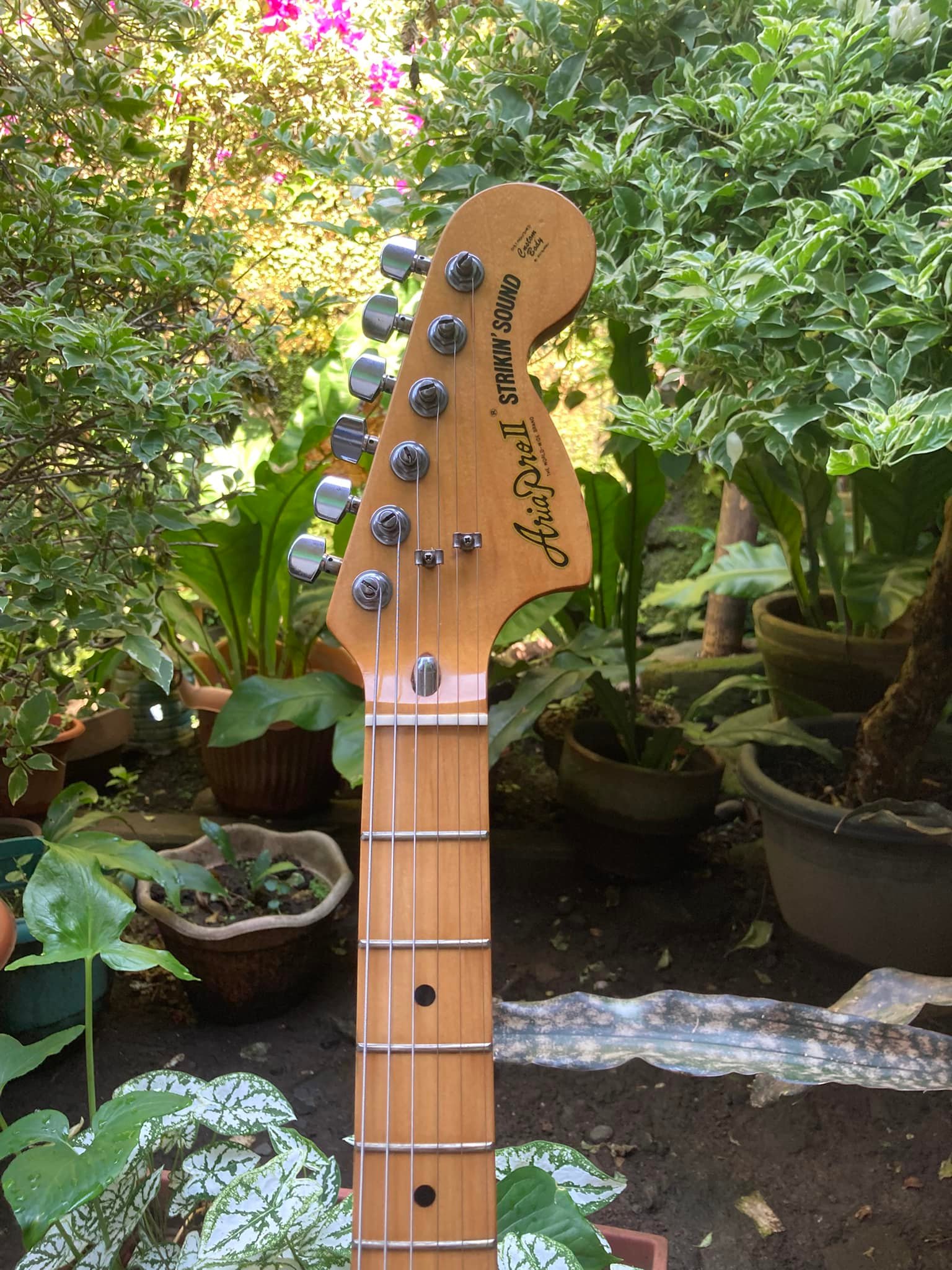 Aria Pro 2 Strikin Sound ST 600 1979 Natural Finish Vintage Gem