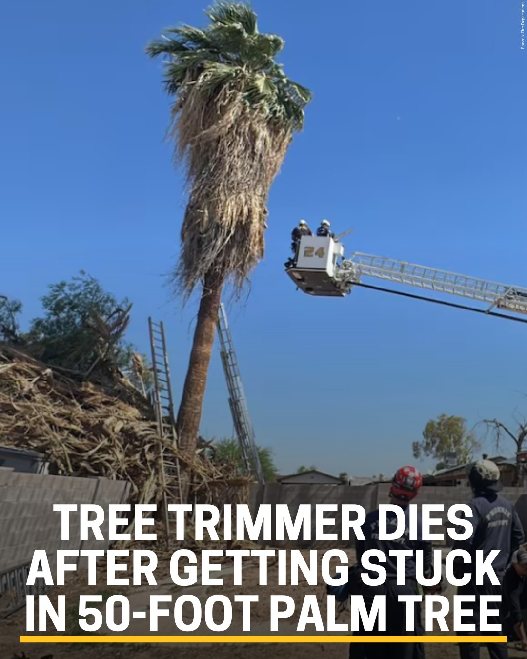 Cleveland - Rescuers had to use a chainsaw to free Jaime Yepiz after he ...
