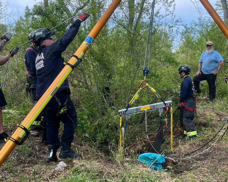 WTKR - A horse stuck in a ditch was rescued by the Suffolk Fire ...