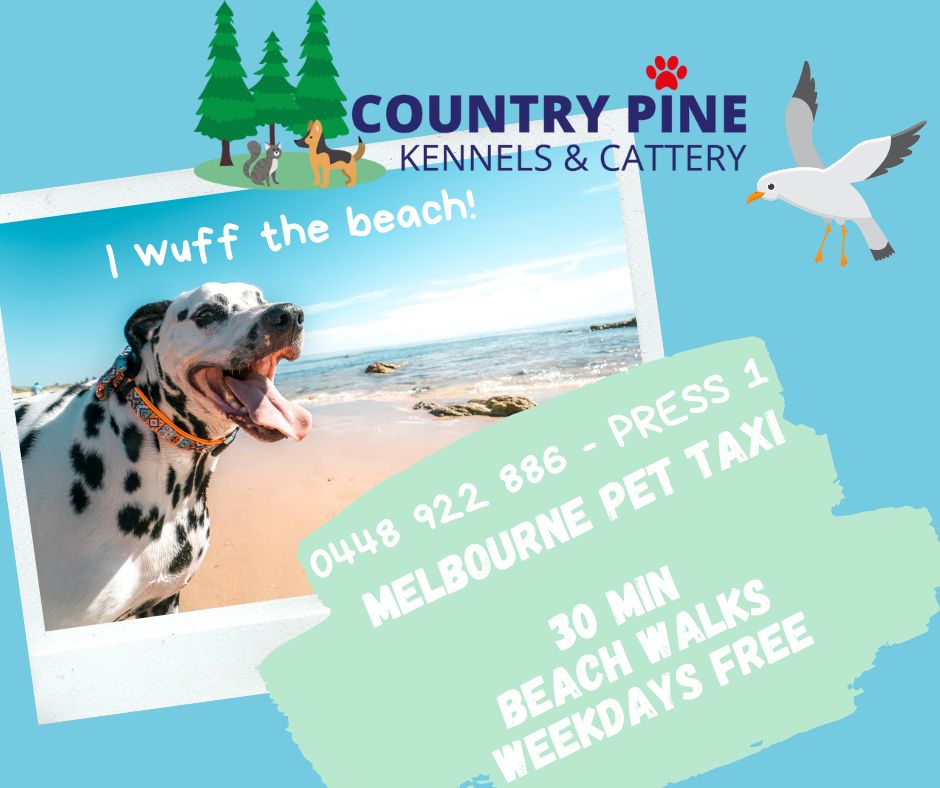 Country Pine Kennels &... - Country Pine Kennels & Cattery
