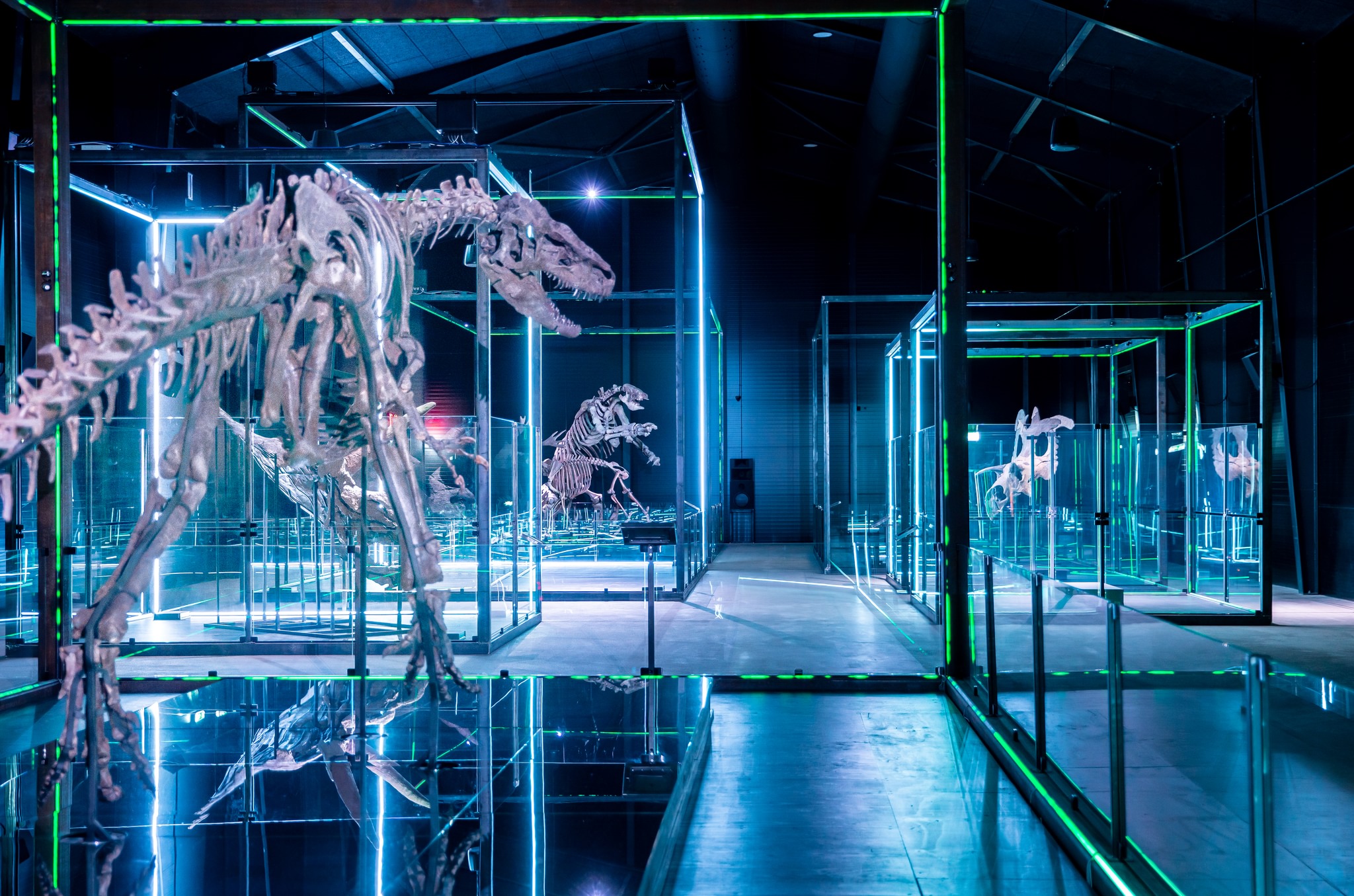 Museum of Evolution | Maribo