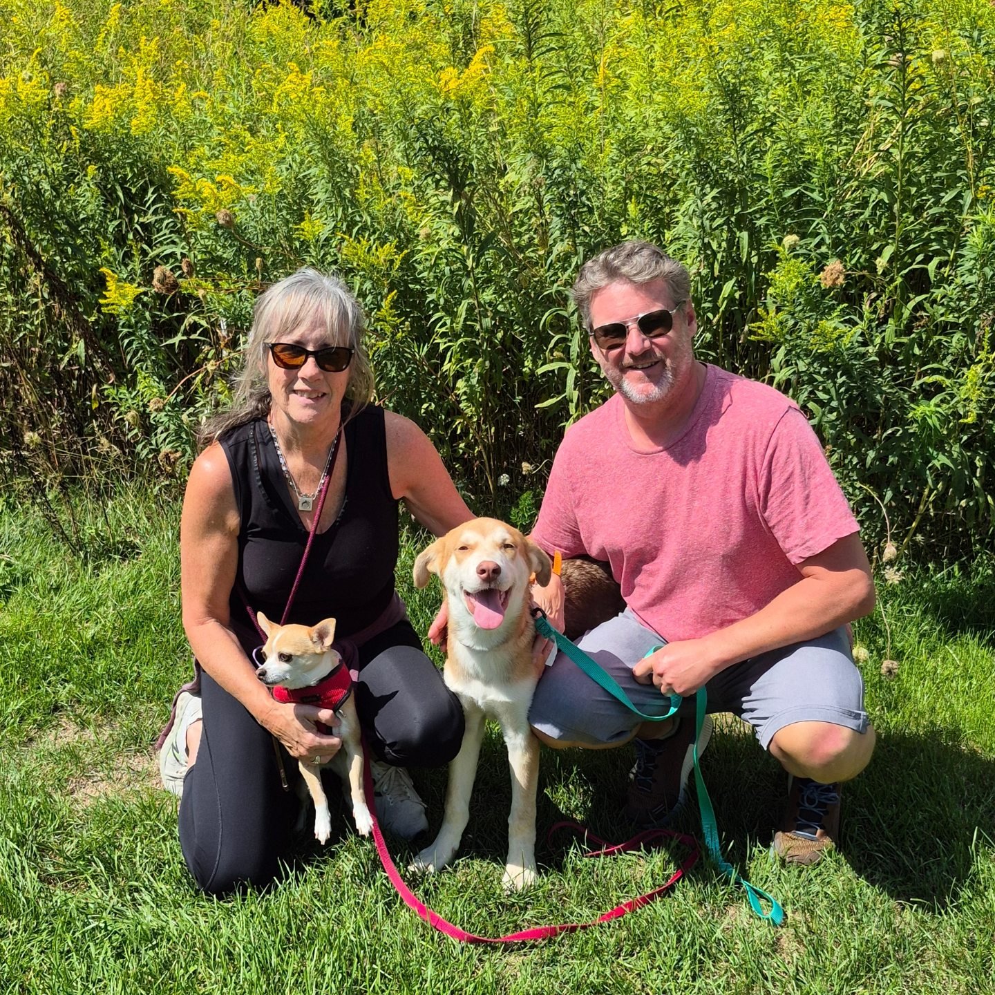 Save Me Rescue - Rusty has been adopted!!! We are so... | Facebook