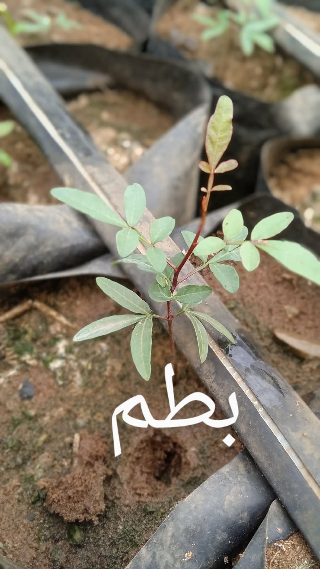 ‎السياحة و الفلاحة‎ added a new photo. - السياحة و الفلاحة