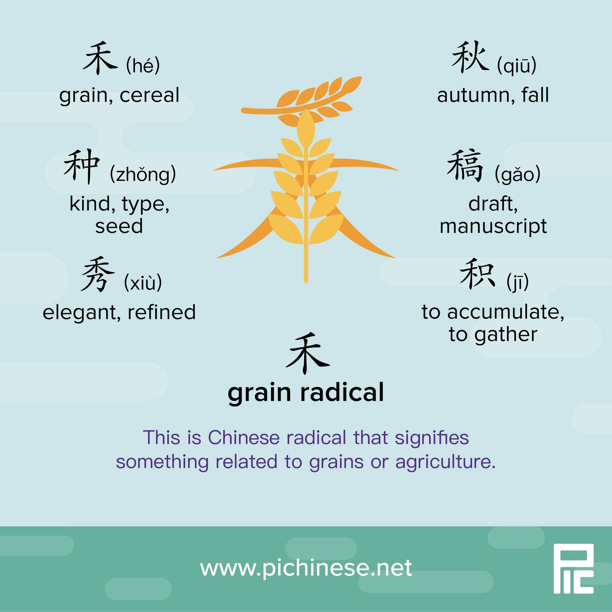 Pichinese - The 