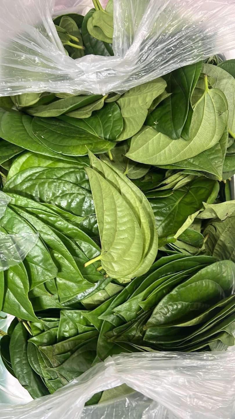 Rau Việt Nam - 📣📣 19/ 11 Lá trầu 1 kg /14k Răm 1 kg... | Facebook