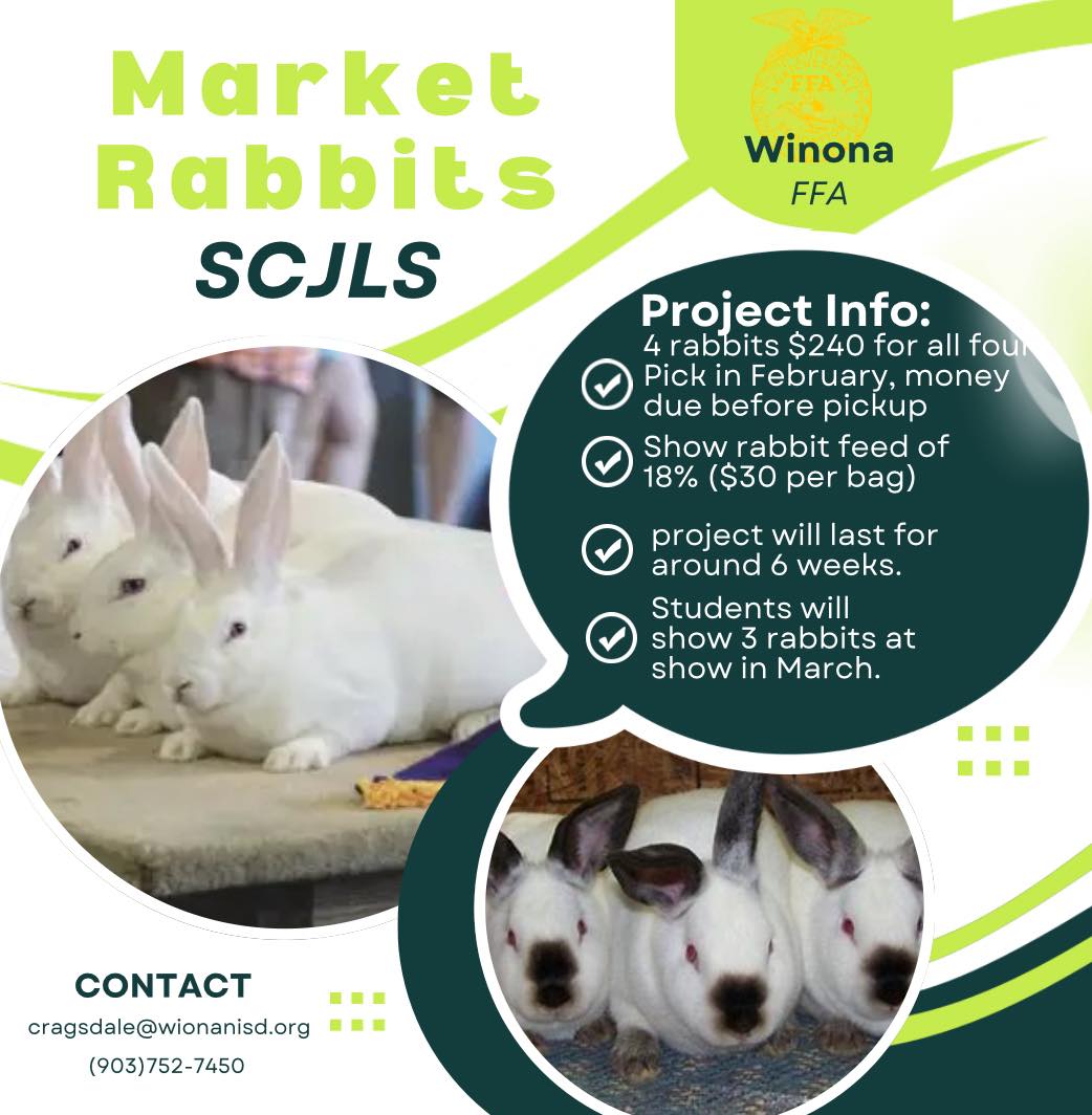 Winona - Rabbits for Smith County Junior Livestock Show March 2026 ...