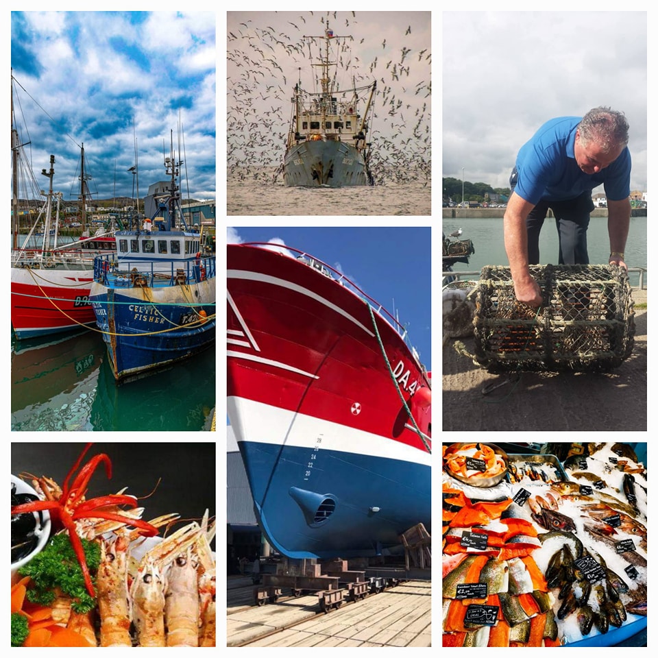 Howth School of Fish | Howth
