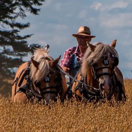 Yesterday Jeff Ferge and John Walker let us tag along as they harvested ...