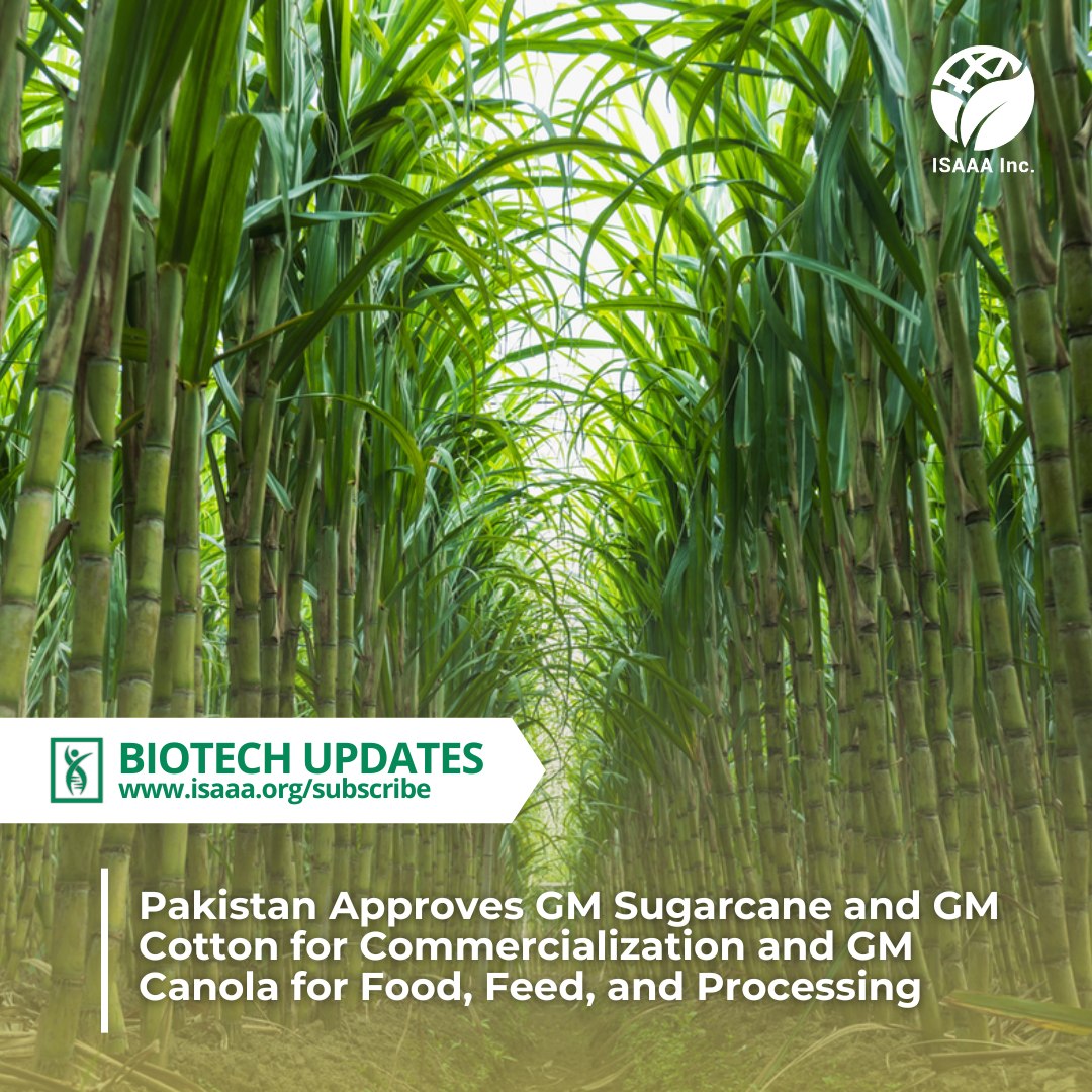 ISAAA.org - The National Biosafety Committee (NBC) has approved ...