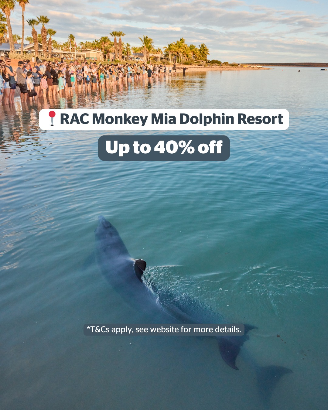 RAC Cable Beach Holiday Park | Broome WA