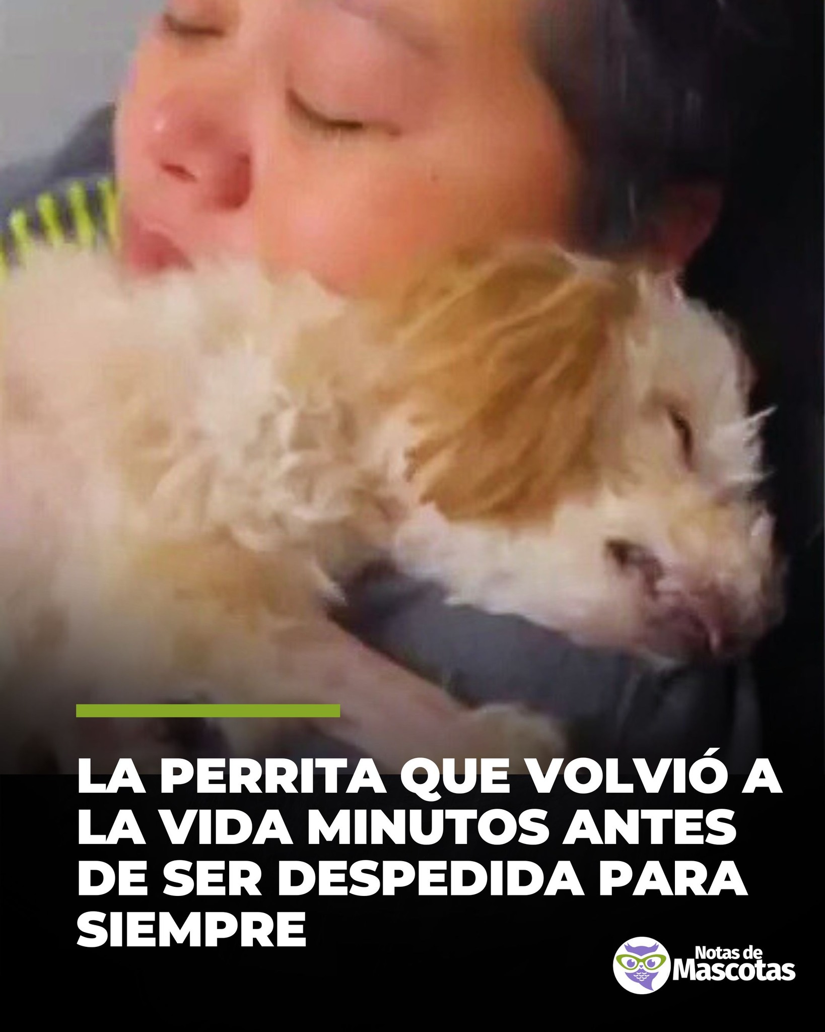 Humberto Ospina