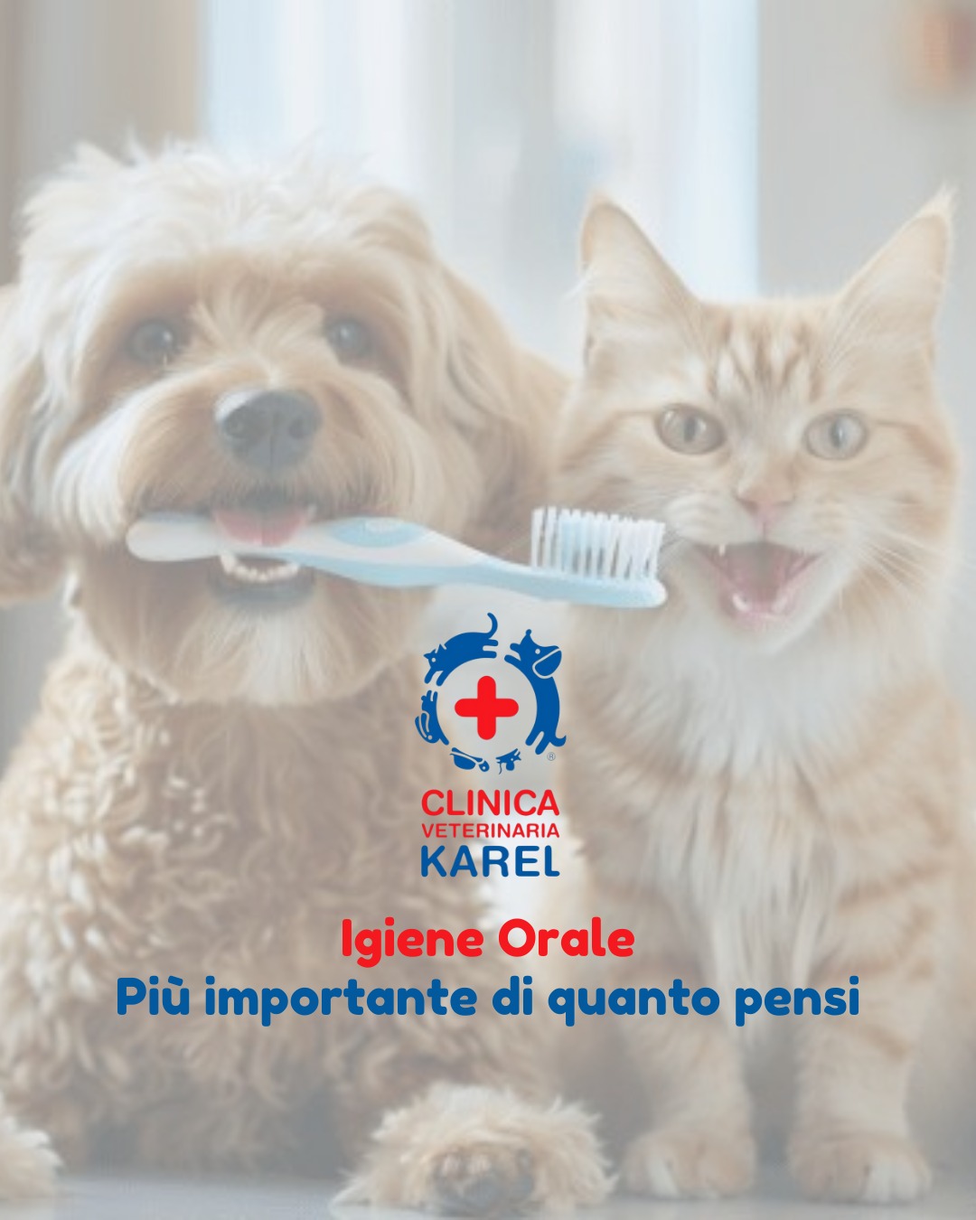 Cos'è la chirurgia orale? | Wedental Care