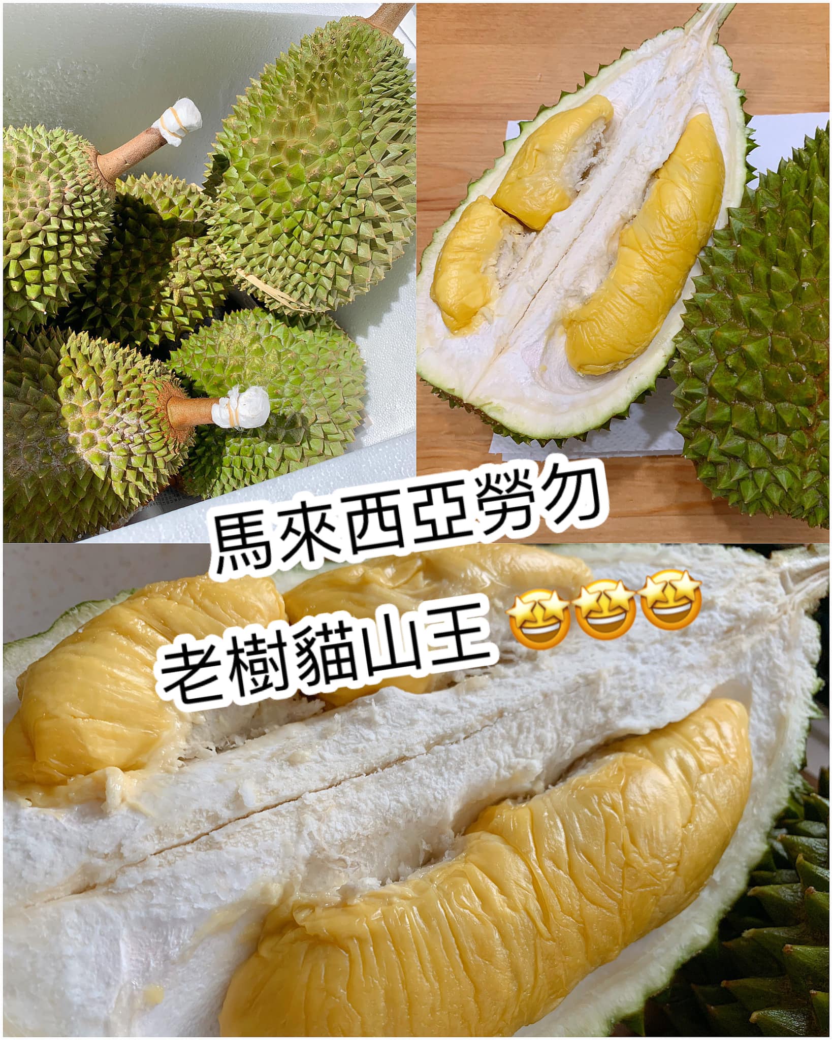 【果王💓 馬來西亞榴槤】 GL Buy... - 傲揚旅遊 Global Linkers Travel Limited | Facebook