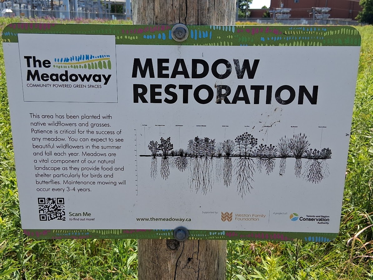 Lost Rivers Walk at the Meadoway-Wilson Creek