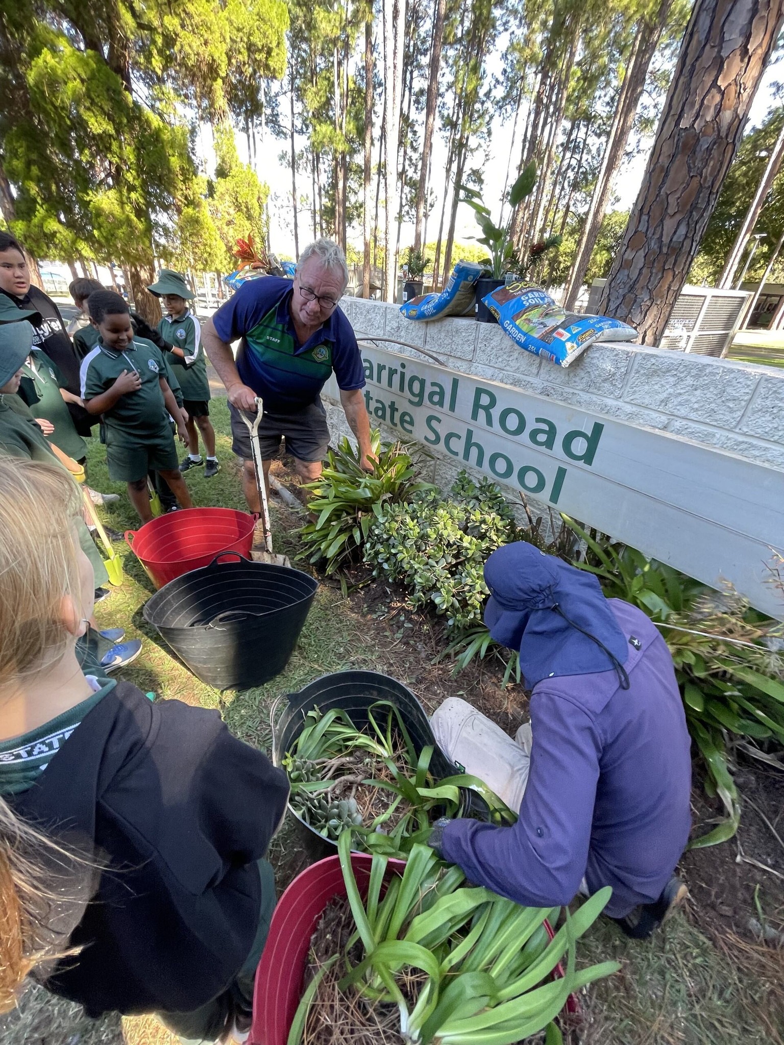 Warrigal Road State... - Warrigal Road State School - DETE